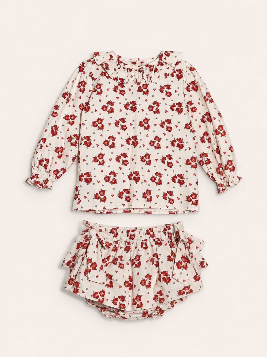 Conjunto flores rojas